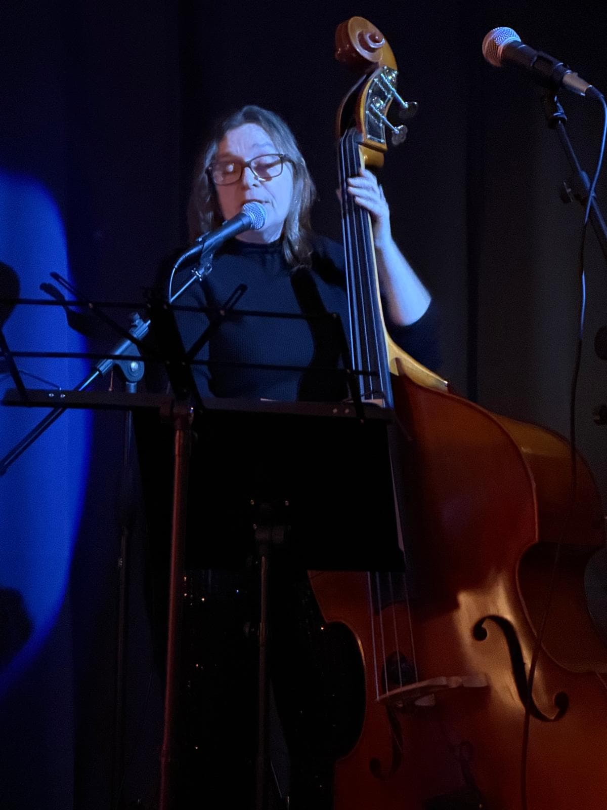 Double bass player with the house band