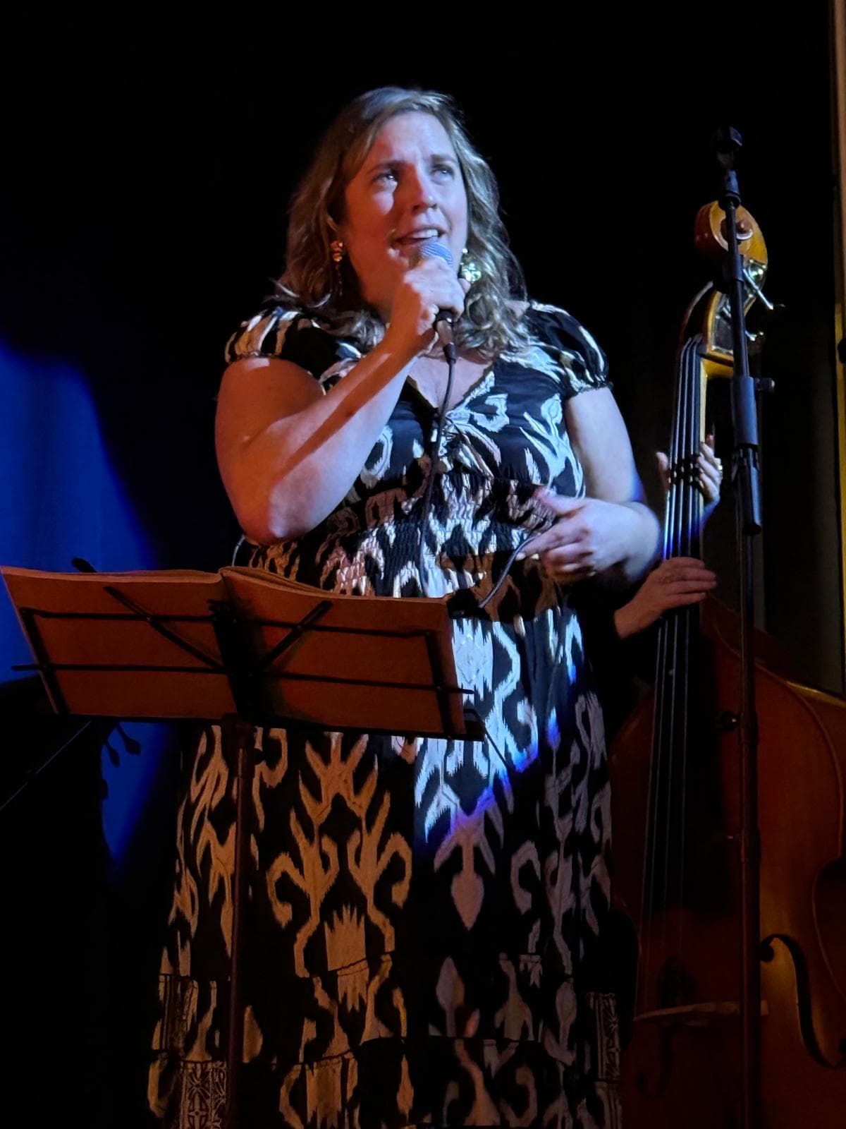 Local singer performing with the house band