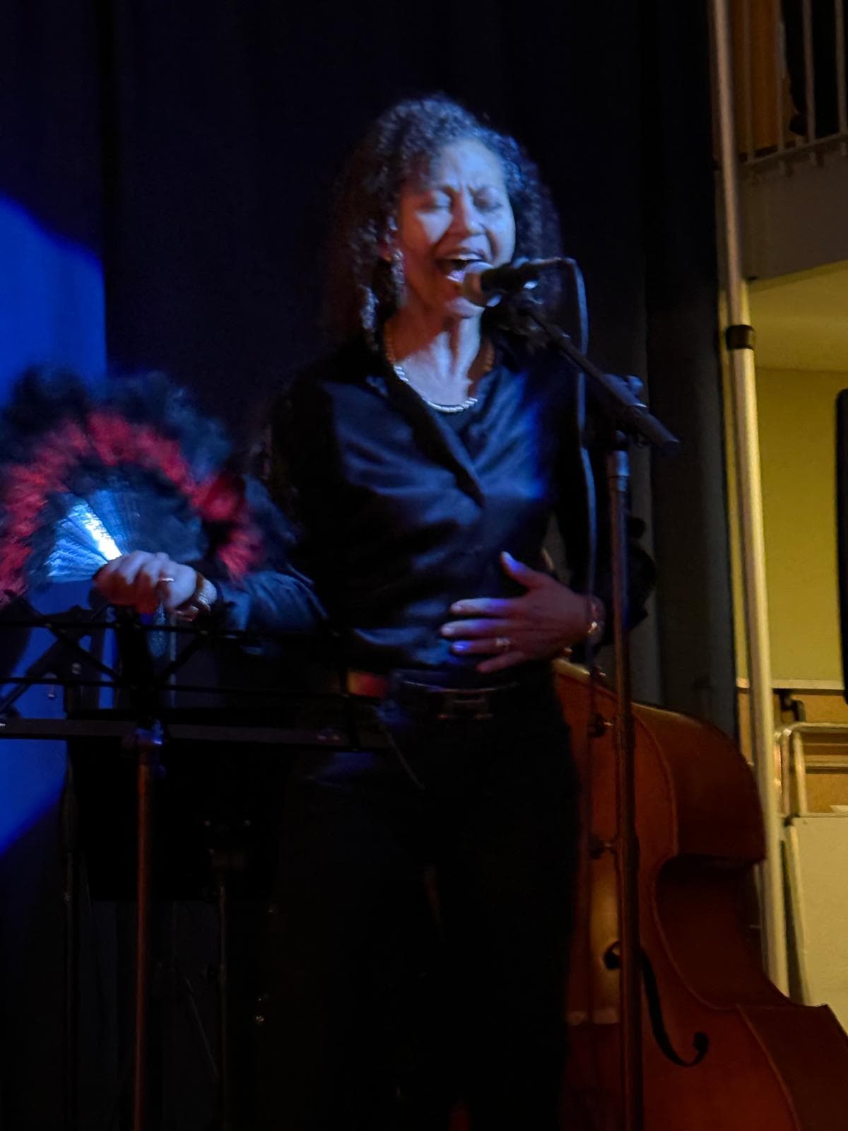 Local singer performing on stage